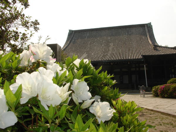 本徳寺 行在所 草刈り