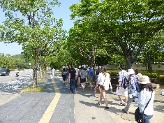 街歩きツアー018.JPG